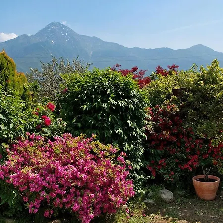 Al Boschetto Apartment Poncetta