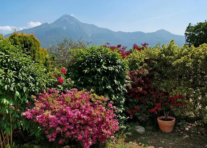 Al Boschetto Apartamento Poncetta